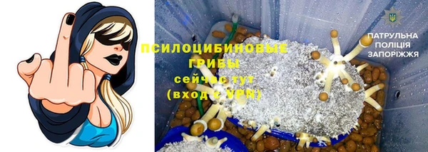 ешки Алзамай