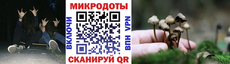 blacksprut ONION Сенгилей Галлюциногенные грибы Psilocybe